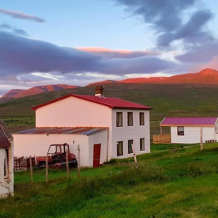 Saudarkrokur Skarth Guesthouse المظهر الخارجي الصورة
