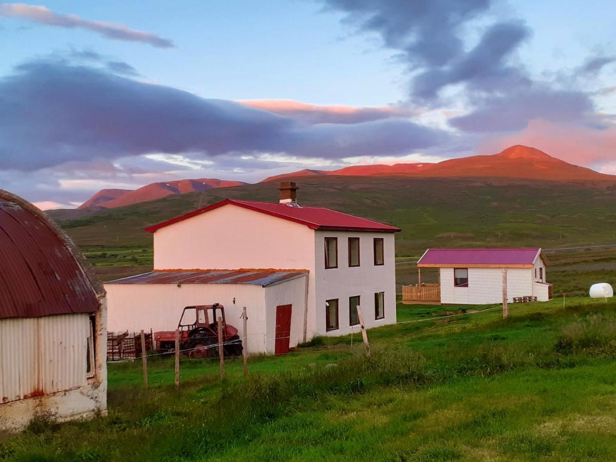 Saudarkrokur Skarth Guesthouse المظهر الخارجي الصورة