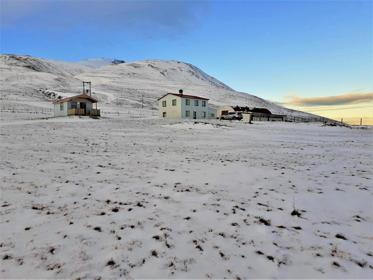 Saudarkrokur Skarth Guesthouse المظهر الخارجي الصورة